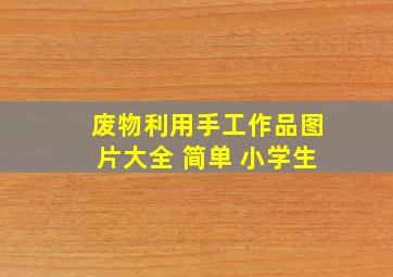 废物利用手工作品图片大全 简单 小学生